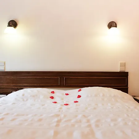 Les Myosotis * Morhet