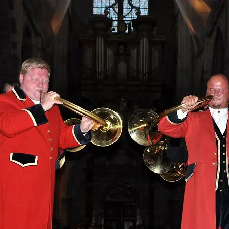 Les Myosotis * Morhet