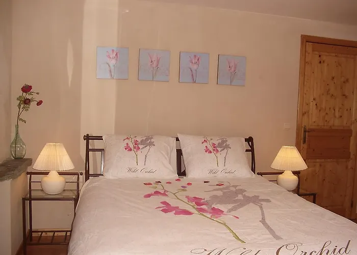 度假居 Les Myosotis Morhet