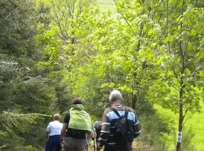 Les Myosotis 度假居